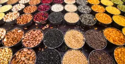 What Are the Plans for Pulses and Oilseeds Procurement in Haryana?