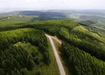 UN report: Only 7 of 26 Global Forest Goals on track for 2030