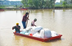 Has Punjab AAP Failed to Assist During the Flood Crisis?