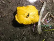 क्या अमृतसर में ड्रोन से भेजी गई 12 किलो से अधिक हेरोइन बरामद हुई?