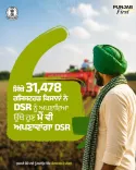 Punjab DSR rice area crosses 4 lakh acres, up 36% in 2026