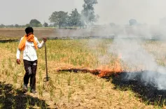 पंजाब में पराली जलाने के 27 मामले दर्ज, PPCB रिपोर्ट में ₹35,000 जुर्माना — पटियाला में वसूली शून्य
