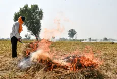पंजाब में पराली जलाने के 404 मामले दर्ज, तरनतारन-अमृतसर सबसे आगे; ₹3.40 लाख वसूली