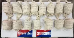 How did Punjab Police dismantle a cross-border smuggling operation and seize 15.7 kg of heroin?