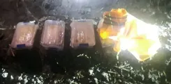 क्या पंजाब पुलिस ने मादक पदार्थों के खिलाफ बड़ी कार्रवाई की?