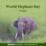 Puri reaffirms India's elephant conservation pledge on World Elephant Day