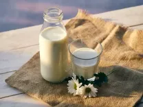 रात का हेल्थ बूस्टर है दूध, जानें सर्दी में कैसे करता है स्वास्थ्य की पूरी देखभाल