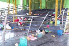 What Did Rahul Gandhi Say About the Andhra Temple Stampede?