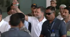 Rahul Gandhi in Chennai to address Tamil Nadu Congress district chiefs at Mamallapuram