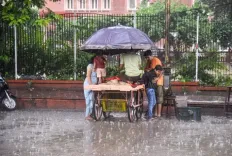 Are Rains and Cloudy Skies Bringing Winter Chill to Jaipur? Dense Fog Alert Issued for Several Districts