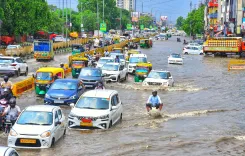 Rajasthan heavy rainfall alert: 7 divisions on watch as monsoon peaks on Aug 13