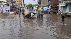 राजस्थान में मूसलधार बारिश से कई जिले जलमग्न, जनजीवन अस्त-व्यस्त