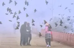 Is Rajasthan Experiencing Its Coldest Spell of the Season?