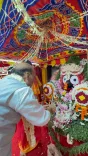 Rajnath Singh attends Delhi Rath Yatra, hails Jagannath's grace