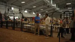 Ramaswamy Visits Pickaway County Fair, Backs Ohio Farmers