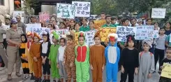 क्या बच्चों ने टाइगर-भालू बनकर 'वन्यजीव बचाओ' का संदेश दिया?