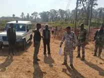 Why Is a Rampaging Elephant Causing Chaos in Jharkhand’s Chaibasa?