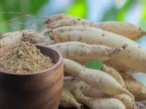 शतावरी: फायदों के साथ-साथ जानें इसके संभावित नुकसान