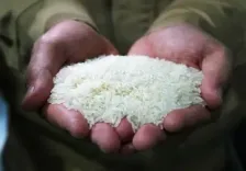 Rice prices surge in Tamil Nadu: Ponni hits ₹82/kg as paddy supplies dry up