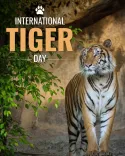 Rijiju calls for tiger habitat protection on International Tiger Day