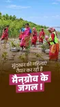 Rijiju Spotlights Sundarbans Women Restoring Mangroves