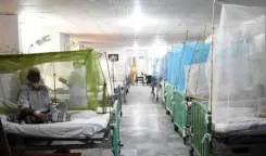 Rising dengue cases in hospitals suggest outbreak-like situation in Pakistan's Karachi, Hyderabad