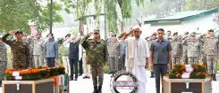 Why Do We Honor the Sacrifices of Our Brave Soldiers?