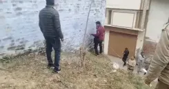 Is the Survey of Cemetery Land Near Jama Masjid in Sambhal Getting Underway Amid Encroachment Claims?