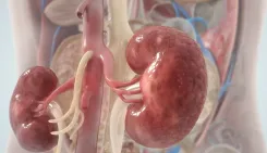 क्या सर्दियों में किडनी की सेहत पर बढ़ सकता है खतरा?