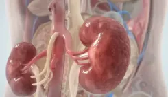 सर्दियों में किडनी की सेहत पर बढ़ सकता है खतरा, जानें कैसे रहें सुरक्षित