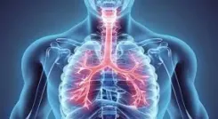 क्या सर्दियों में सांस पर हमला होता है: अस्थमा और सीओपीडी के अचानक बढ़ने का कारण क्या?