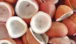 क्या सरकार ने कोपरा के एमएसपी में बढ़ोतरी को मंजूरी दी है, किसानों को होगा कितना लाभ?