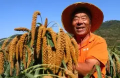 सर्वांगीण ग्रामीण पुनरुद्धार रणनीति से चीनी लोगों में गहन बदलाव