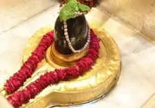 सावन विशेष : महादेव को क्यों प्रिय है भांग, आक और धतूरा? ‘नीलकंठ’ से है कनेक्शन