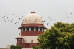 Will the Supreme Court Deliver a Verdict Today on the Independent Probe into the Karur Stampede?