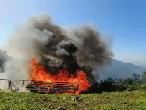 Did Security Forces Successfully Eliminate Poppy Farms in Manipur?