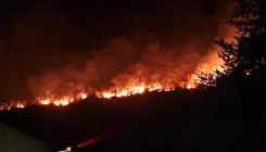 Serbia wildfires 2026: 300 hectares burn in Deliblato Sands amid extreme heat