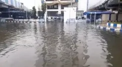 What Happened in Kolkata as Record Rainfall Strikes and Causes Electrocutions?