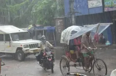 Patna storm uproots trees near CM, RJD offices; vehicles damaged