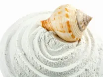 क्या शंख भस्म कैल्शियम से भरपूर है और हड्डियों तथा जोड़ों को नया जीवन देती है?