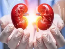 शरीर की डिटॉक्स मशीन है किडनी, छोटी होकर भी करती है बड़े-बड़े काम