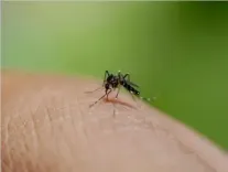 शरीर में डेंगू के संकेत पहचानें, अस्पताल जाने की आवश्यकता है!