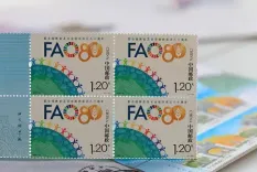 शी चिनफिंग ने संयुक्त राष्ट्र के खाद्य एवं कृषि संगठन को 80वीं वर्षगांठ पर बधाई पत्र भेजा