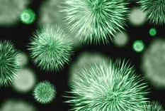 शहर की हवा में घूम रहे हैं फेफड़ों, आंतों और त्वचा में संक्रमण फैलाने वाले बैक्टीरिया