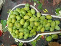 शिवलिंग पर चढ़ा प्रसाद क्यों नहीं करना चाहिए ग्रहण? जानें कारण