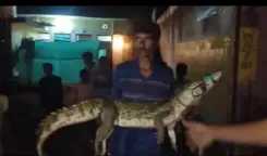 शिवपुरी में मगरमच्छ बना खिलौना, गोद में उठाकर लोगों ने खिंचवाई फोटो