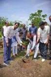 Shivraj plants sapling at Bhopal Smart City Park, urges 'Vriksh Mitra' drive
