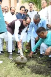 Shivraj plants sapling at RSETI women's credit event in Bhopal