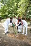 Shivraj plants sapling daily, calls public to join Aug 12 drive
