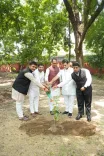 Shivraj plants saplings in Delhi, calls public to join Aug 12 drive